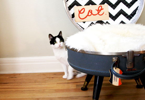 etsysuitcasepet4