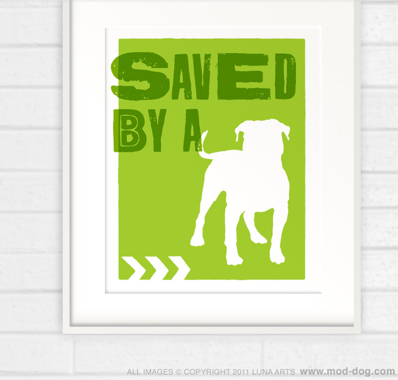 A new print – just for the Pitbull Rescues